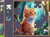 Fragments of Wonder